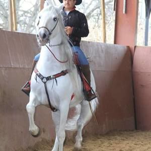 Meet your Posher, Felipe